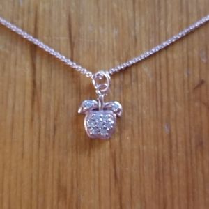NWT Rose Gold Apple necklace